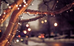Ziemas rota - 2019