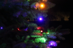 Konkursa „Ziemas rota 2020” rezultāti