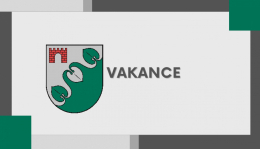 Limbažu novada sociālais dienests izsludina vakanci