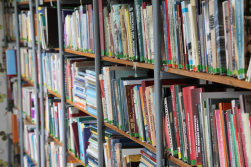 Jūlijā Tūjas bibliotēkā
