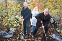 Mežaparkā rododendru stāda arī salacgrīvieši