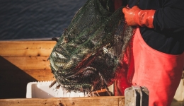 Zvejas atļaujas (licences) zvejniekiem izsniegs pašvaldības