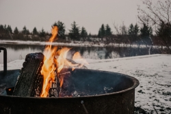 Ziemas saulgrieži