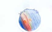 Alens Apsitis_I vieta.jpg