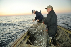 Rūpnieciskās zvejas rīku izsole pašpatēriņa zvejai